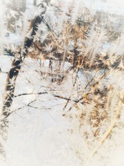givre sur une fenêtre