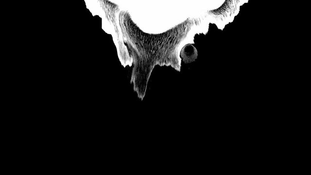 Bloom ink. Beautiful white watercolor ink drops transition on black background