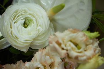 Detail closeup of romantic wedding or congratulatory bouquet, light gray background, selective focus