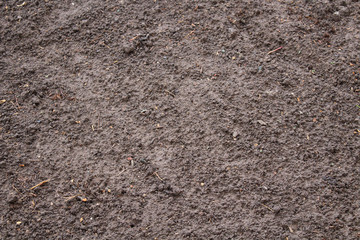 Black wet soil. Top view. Close-up. Background. Texture.