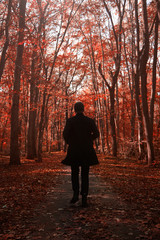 Fototapeta premium Man silhouette walking in a red forest