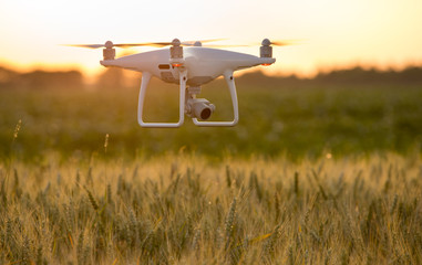 Drone flying above barley field