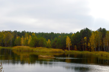 Fototapeta premium The shores of the picturesque forest lakes