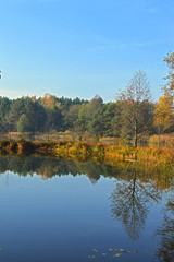 The shores of the picturesque forest lakes