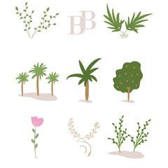 Plant and Flower Vector Design Template