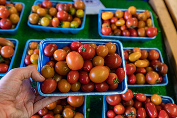 hand holding a blue styrofoam container filled to the brim with round cherry tomatoes. Organic vegetables at the local food market. Blurry background.