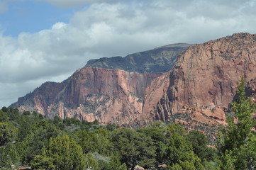 Fototapeta na wymiar Red Rock Mountain near Zion National Park