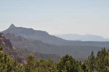Vista in Zion National Park