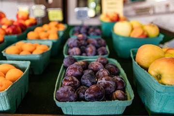 Close up neatly arranged rows of cardboard boxes filled with black plums and other fruits. Selective focus in front and blurred background.