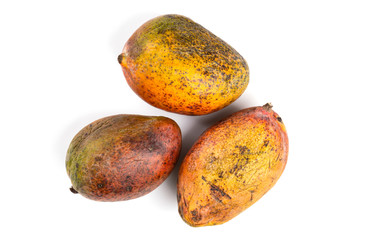 Rotten mango. Overripe Fruit on a white background.Isolated