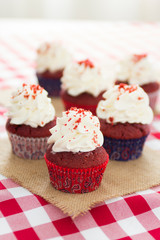 cupcakes on tablecloth