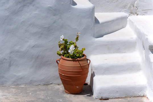 A terracotta vase with flowers set in a courtyard against a whitewashed wall and steps, on  the beautiful Greek island of Koufonissi.  The white wall provides copy space.