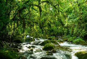 Wild river running through rainforest scenary in Brazil