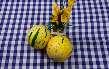 Whole melon fruits on a table on a blue and white tablecloth