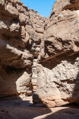 USA, Nevada, Clark County, Lake Mead National Recreation Area. The White Owl Canyon Trail starts...