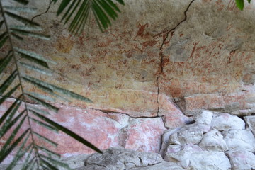 Colombian Chiribiquete Indigenous Rock Art 