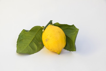 Fresh biological organic lemon with leaves on a withe background