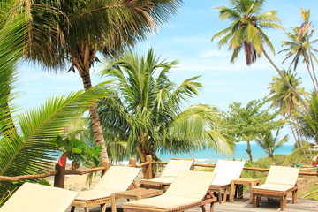 Fototapeta premium Trees and beach side fun