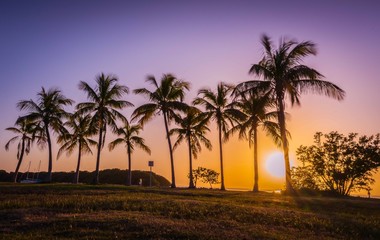 tropical miami cuba florida sun beach tree palm sunset sky silhouette sunrise ocean landscape traveling vacation summer beautiful coast dusk © Alberto GV PHOTOGRAP