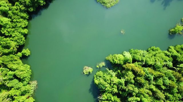 Drone view of Lake Cerknica, Slovenia, surrounded by a bright green forest