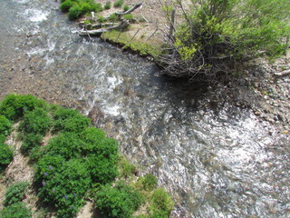 Los alerces national park - the water of countless lakes, streams and waterfalls comes from the melting of snow