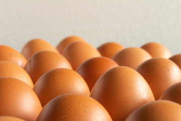 Numerous eggs organized in rows. Concept of organization and power. Organic food