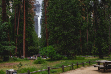 Waterfall and forest Yosemite