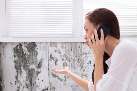 Woman Calling For Assistance Near Damaged Wall