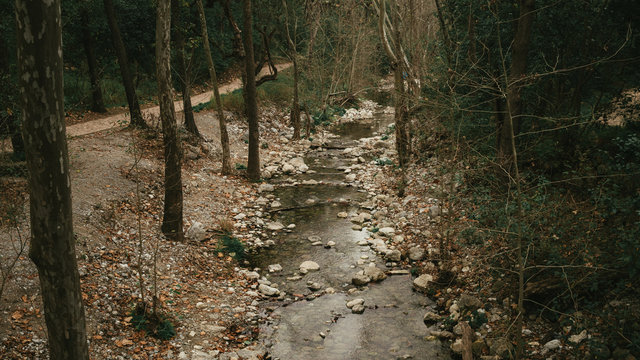 La Estanzuela