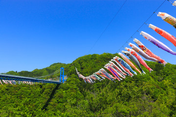 竜神峡鯉のぼり祭り（竜神大吊橋　茨城　日本）1000匹の鯉のぼりが優雅に泳ぐ風景