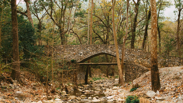 Puente de piedra