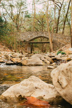 La Estanzuela