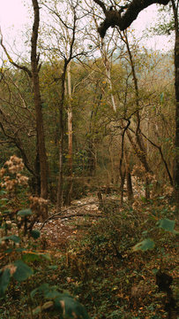 La Estanzuela