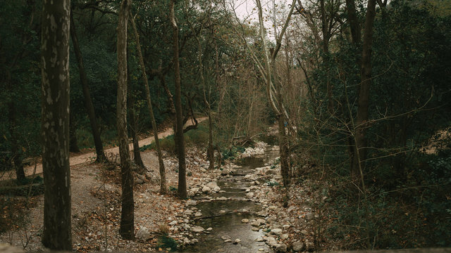 La Estanzuela