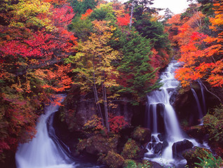 竜頭の滝（奥日光　日本）の滝と鮮やかな紅葉
