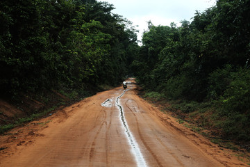Muddy Road in Kenya