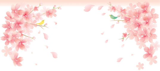 春の花　桜のイラスト背景　Elegant Spring Flowers Vector Background　