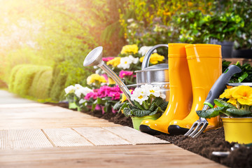 Gardening Tools Set And Flowers