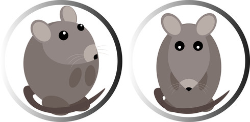 2020 logo funny gray steel rat