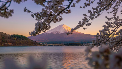 Mount Fuji with Cherry Blossom (sakura), view at Lake Kawaguchiko