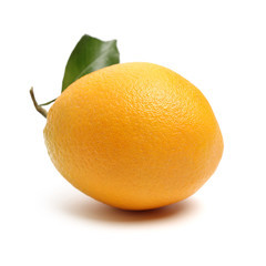 Orange fruit on the white background