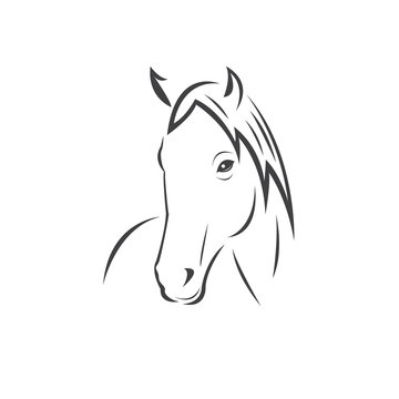 Vector head of horse black. Mammals. logo. icon. symbol. design. on white background