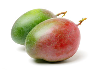 mangos on a white background 