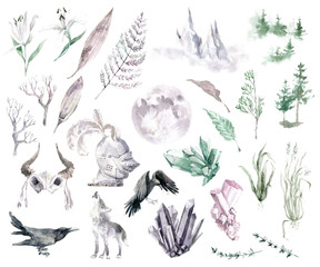 Watercolor Middle Age clipart collection. Wild animals, gems, landscape elements, herbs and flowers, historical spirit things.