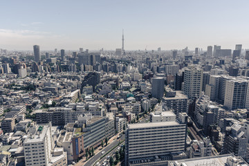 aerial cityscape view of tokyo in clear weather 