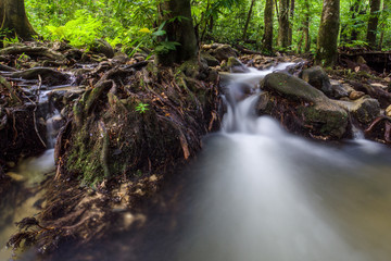 waterfall in the forest