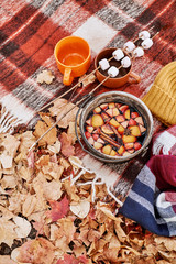 On a large blanket in the forest in autumn on fallen leaves, there is a charred bowler hat after a bonfire with hot mulled wine. Nearby are two mugs and marshmallows on sticks.