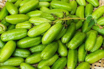 Averrhoa bilimbi fruit