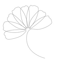 Flower chamomile isolated on white, vector illustration