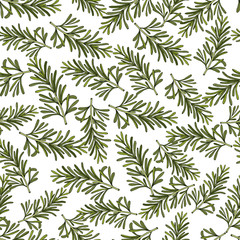 Rosemary hand drawn branches seamless pattern